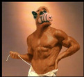 ALF_VIP