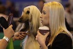 Crazyblonde