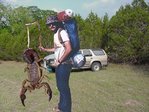 War-Scorpion
