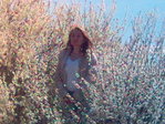 Picture(43)