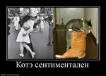 828059_kote-sentimentalen
