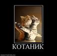 340259_kotanik