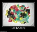 321817_zaebalsya