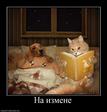 636196_na-izmene
