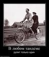 223250_v-lyubom-tandeme