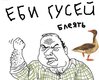 x_41f8eba0