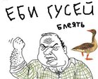 x_41f8eba0