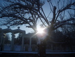PB200694.JPG