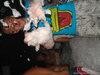 DSC01466