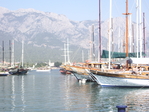IMGP3150