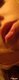 x_b9bcf18c