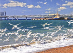 13_eco2