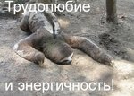 Да да.. )