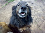 2092008719.jpg