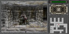 ptp_master_fungus_5