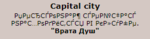 Opera Снимок_2020-12-25_191403_capitalcity.combats.com