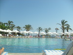 S6305557