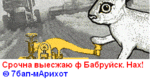bobruisk