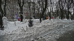 Звездные олени