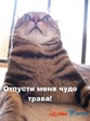 CuYtJtSXasqYduXd35QpyArINs13iUkEAPe7tfELeBew