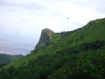 DSC03431