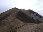 DSC02013.JPG