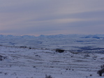 P1040950