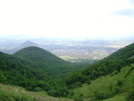 DSC03413