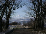 DSC01602