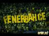 1214974004_fenerbahce_fans_2_1024x768