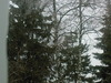 P_A0076.jpg