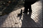 _e739340f