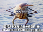 я сказал холоны