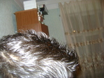 DSC00465