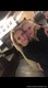 IMG-2a1ee07ce42bb7cc6693970c1bddbb78-V