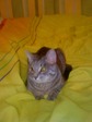 DSC00603