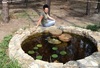 DSC013848