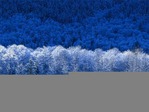 Winter.jpg