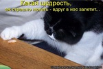 x_f9786f2b