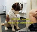 Оля, напугай меня)))