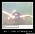 Снято под водой, на Чёрном море,на телефон,с помощью презерватива...)))