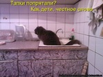 x_85424a3b