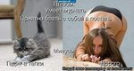 сравнение)