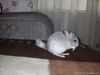 DSCF1544