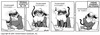 catz036