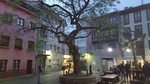 20190502_213655