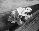 [ печаль.но ]