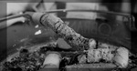 [ пепел жизни ]