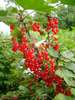 DSC03977-prev