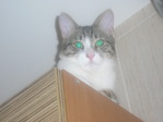 том